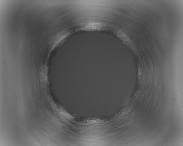 X0000066120396200603311541