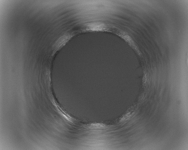 X0000066120397200603311541