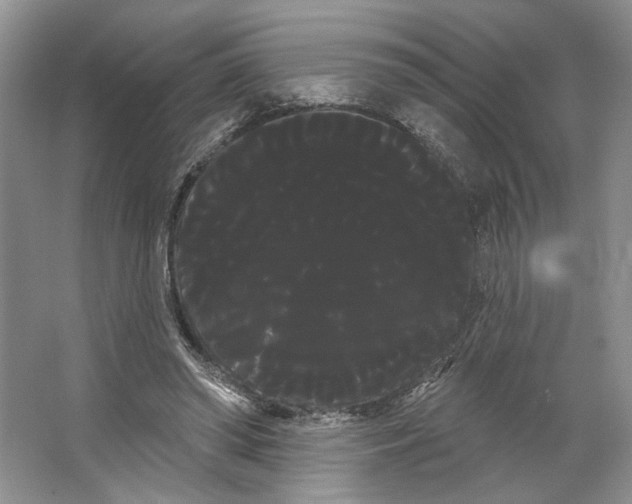 X0000066120398200603311541