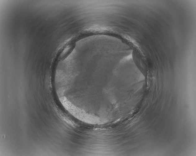 X0000066120399200603311541