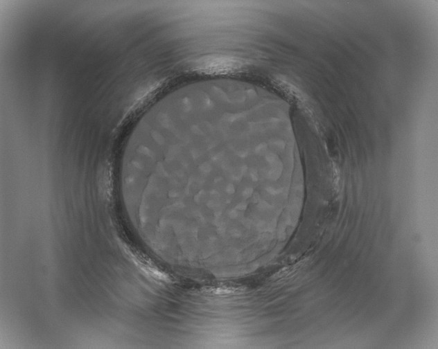 X0000066120400200603311541