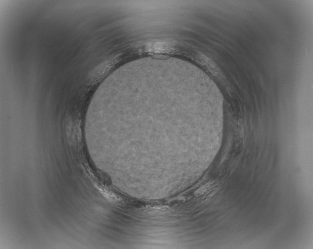 X0000066120401200603311541