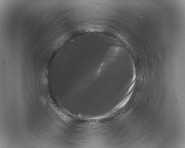 X0000066120402200603311541