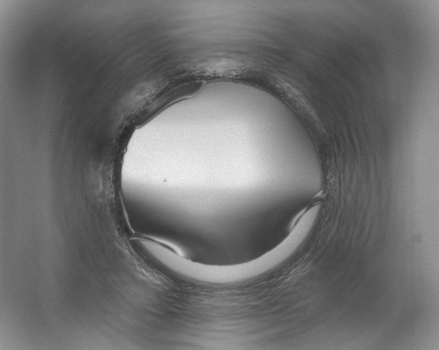 X0000066120403200603311541