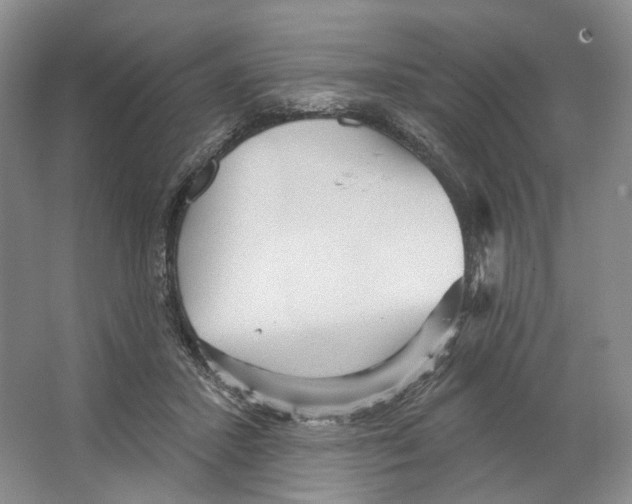 X0000066120407200603311541