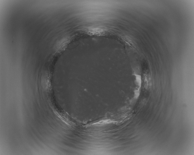 X0000066120408200603311541