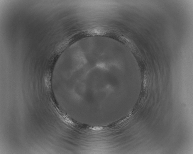 X0000066120409200603311541