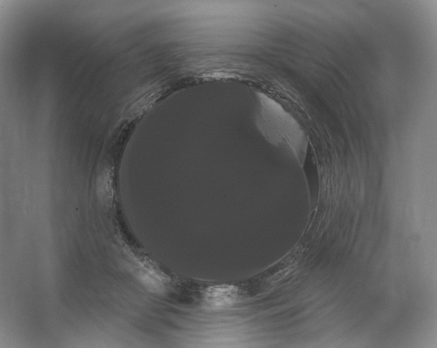 X0000066120410200603311541