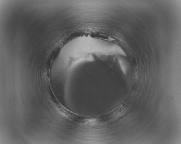 X0000066120411200603311541