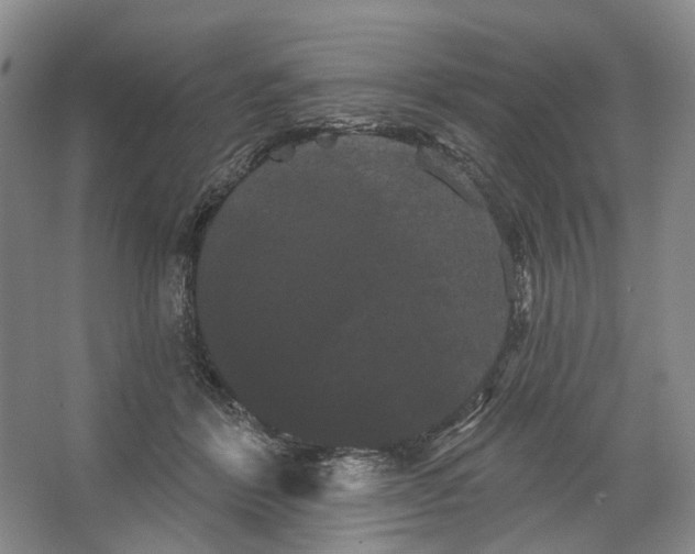 X0000066120412200603311541