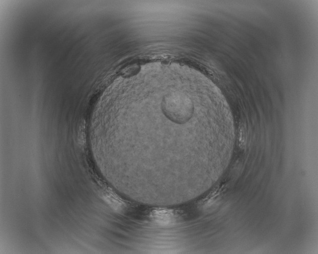 X0000066120413200603311541