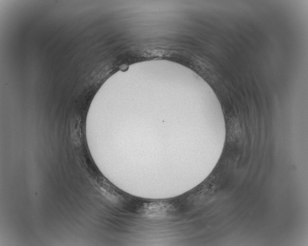 X0000066120414200603311541