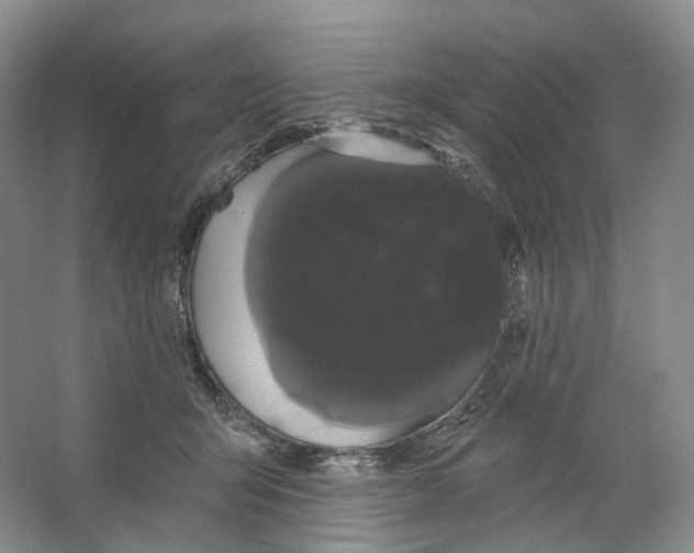 X0000066120415200603311541