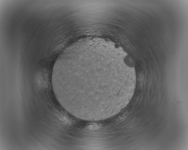 X0000066120416200603311541