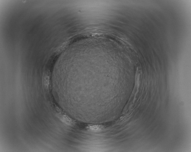 X0000066120417200603311541