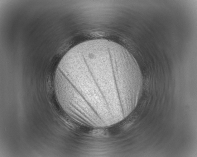 X0000066120418200603311541