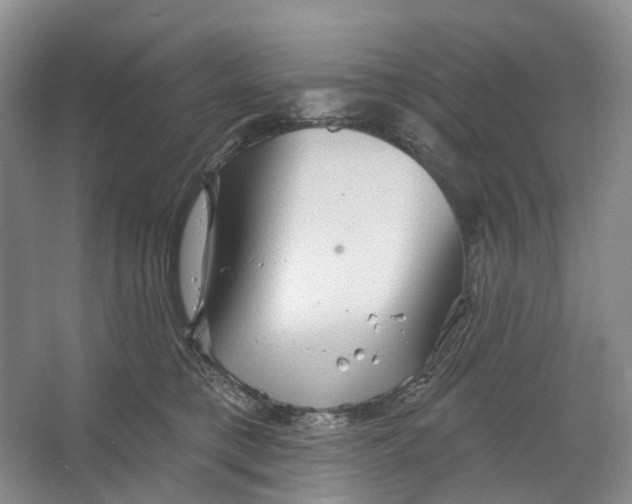 X0000066120421200603311541