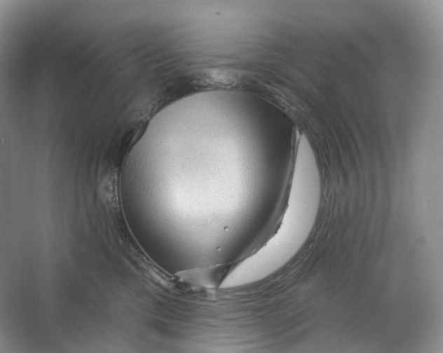 X0000066120425200603311540