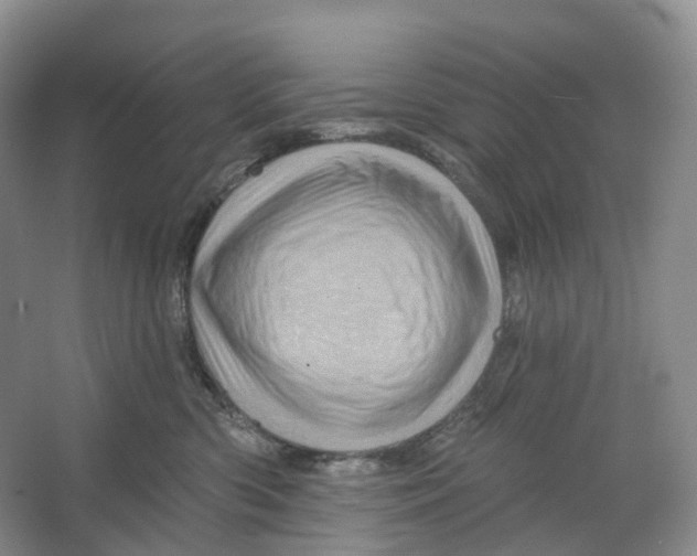 X0000066120426200603311540