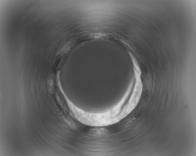 X0000066120427200603311540