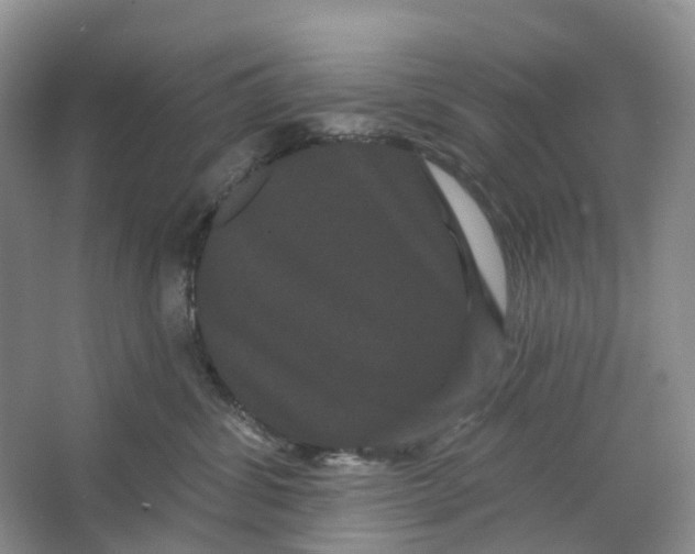 X0000066120428200603311540