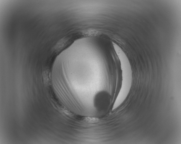 X0000066120429200603311540