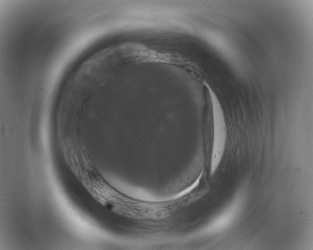 X0000066120431200603311540