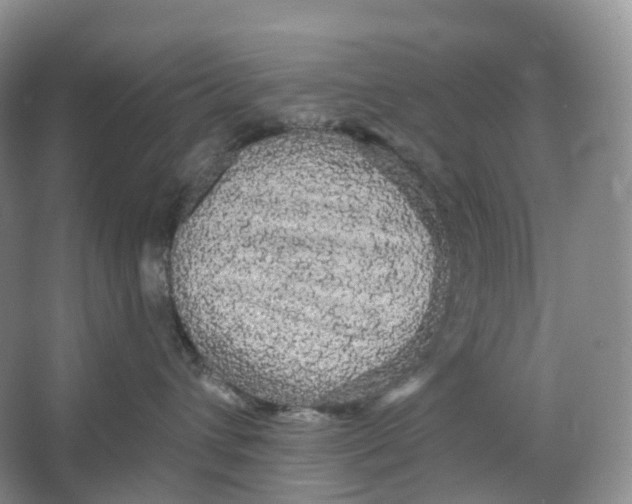 X0000066120432200603311540