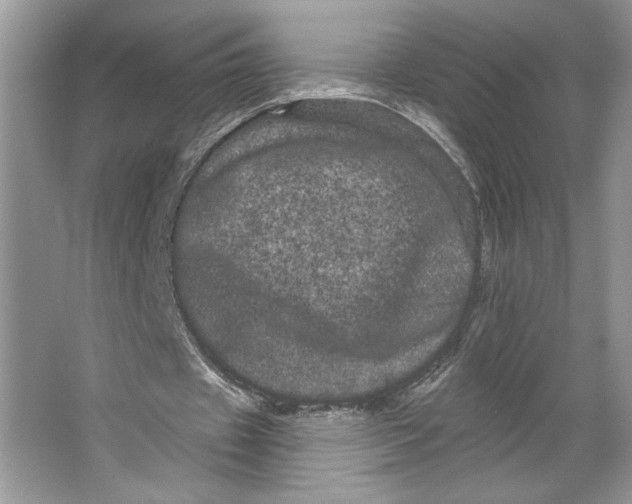 X0000066120433200603311540