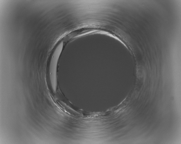 X0000066120434200603311540