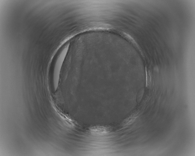 X0000066120435200603311540