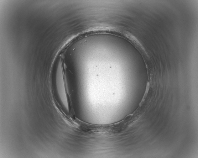 X0000066120436200603311540