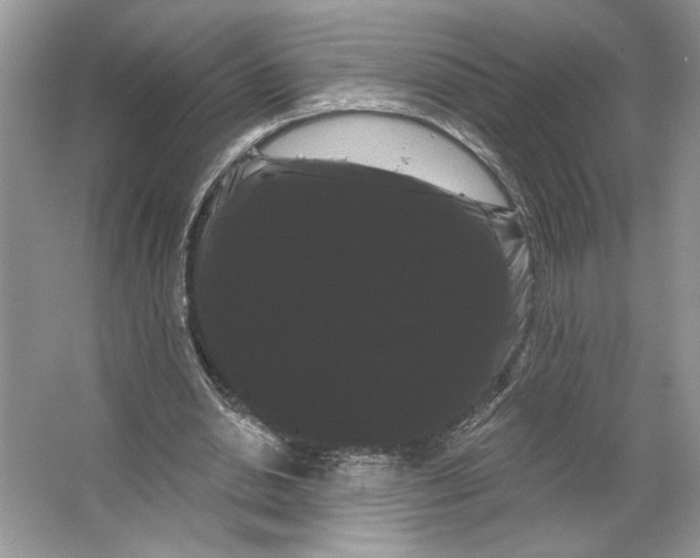 X0000066120438200603311540