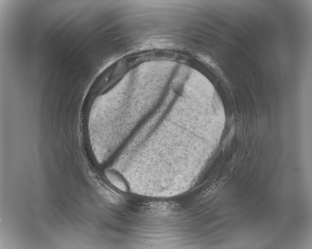 X0000066120439200603311540