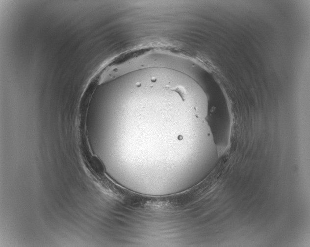 X0000066120440200603311540