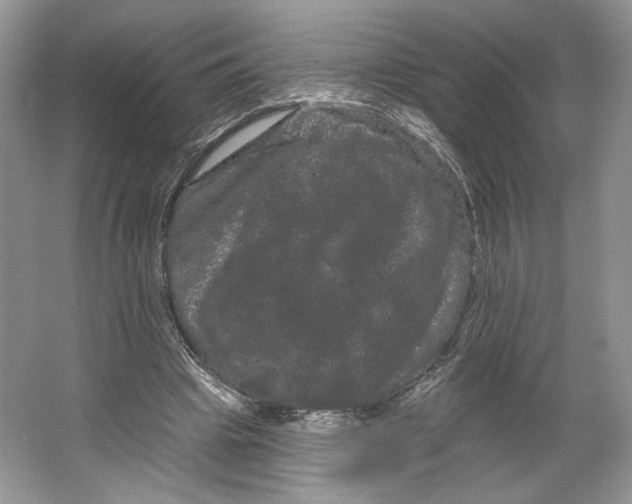 X0000066120441200603311540