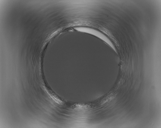 X0000066120442200603311540