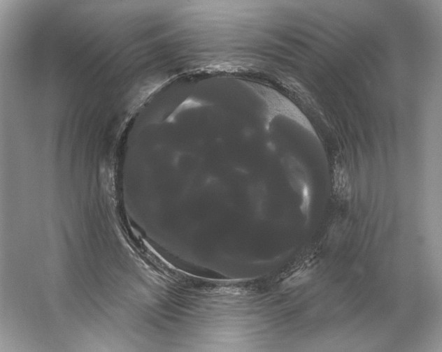 X0000066120444200603311540