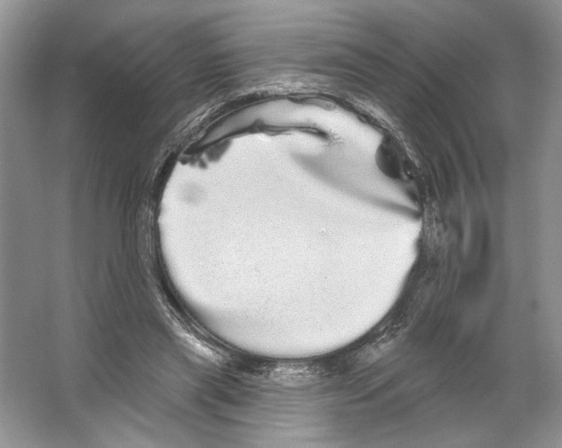 X0000066120445200603311540