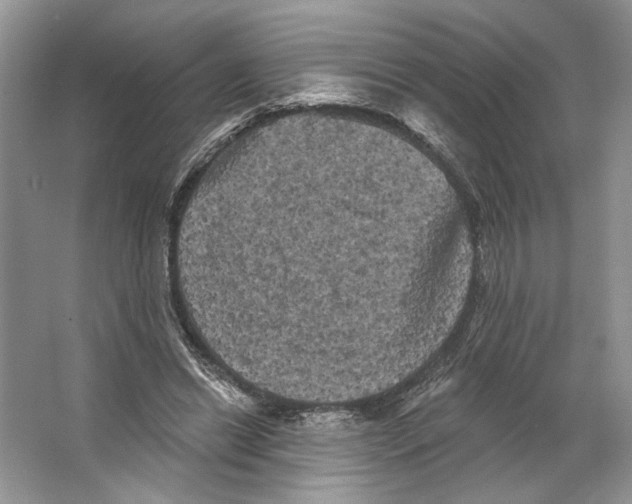 X0000066120446200603311540