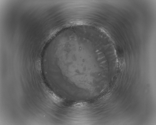 X0000066120447200603311540