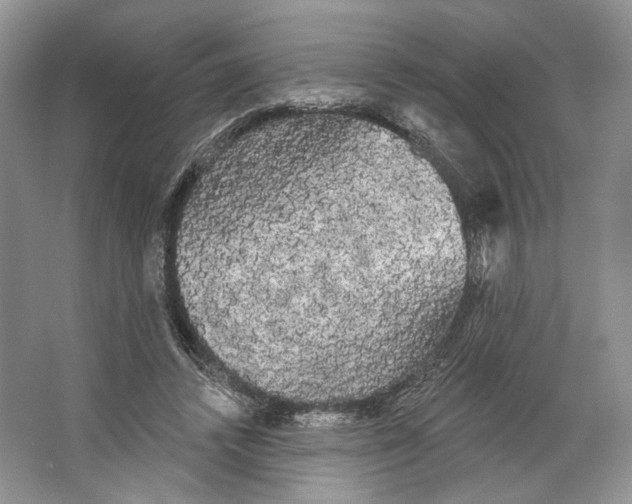 X0000066120448200603311540