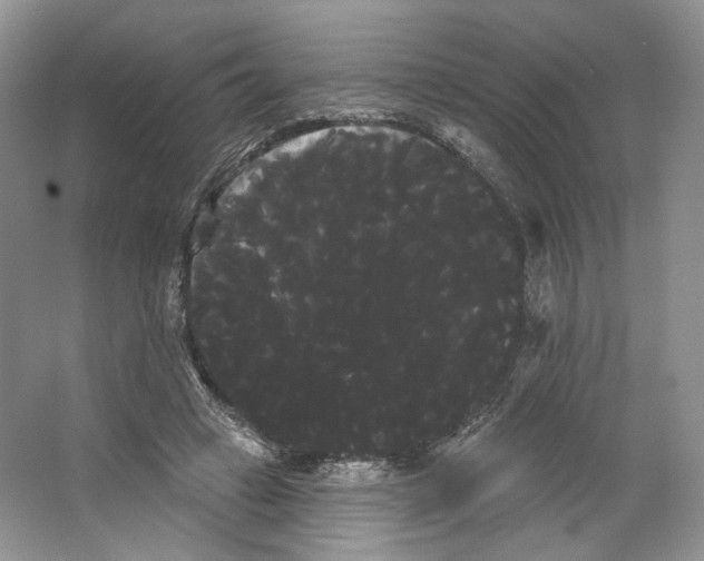 X0000066120449200603311540