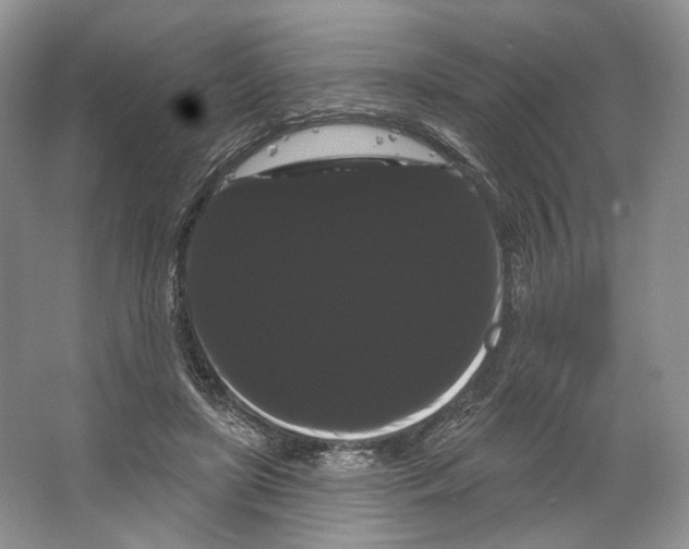 X0000066120451200603311540