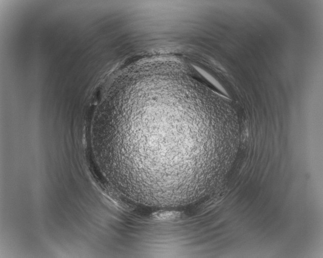 X0000066120452200603311540