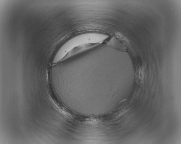 X0000066120454200603311540