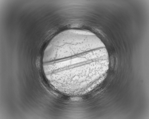 X0000066120455200603311540