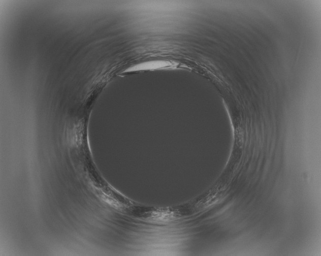 X0000066120458200603311540