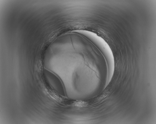 X0000066120459200603311540