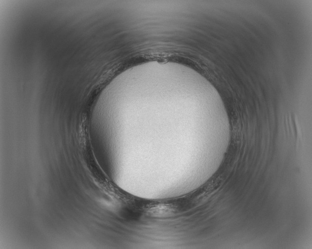 X0000066120460200603311540